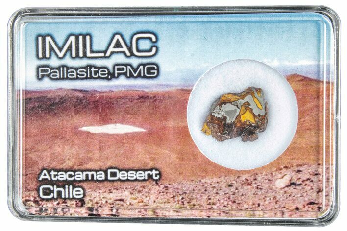 Pallasite Meteorite ( g) Slice - Imilac #285888